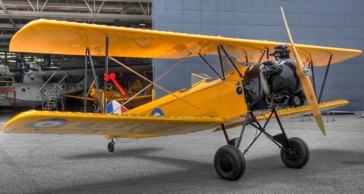Photo of Fleet Finch