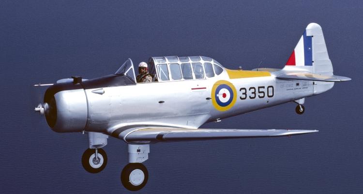 Photo of North American Yale