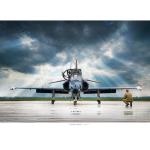 Photo of 30052 - Canadian Hawk Print