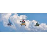 Photo of 30063 - RCAF Griffons Print