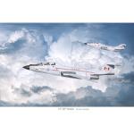 Photo of 30073 - Voodoo Lynx Squadron Print