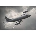 Photo of 30076 - RCAF CP-140 Aurora Print