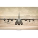 Photo of 30085 - C-130 Hercules '424 Tiger Sqn' Print