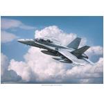 Photo of 30144 - McDonnell Douglas CF-18 (#917), Print