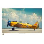 Photo of 31209 - Harvard Mk.IV