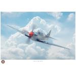 Photo of 31553 - Fairey Firefly Mk. VI