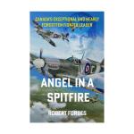 Photo of 33486 - Angel In A Spitfire Book